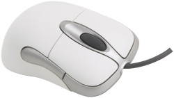 Maus