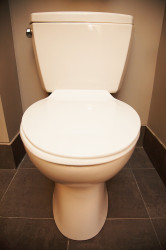 Toilette
