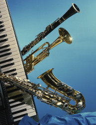 Instrument