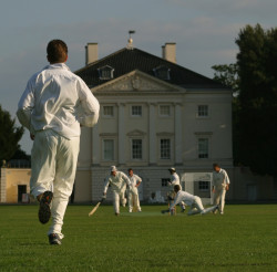 Kricket