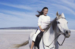 Reiten
