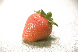 Erdbeere