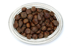 Kastanie