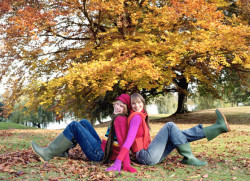 Herbst