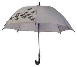 Regenschirm