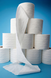 ToilettenpapierKlopapier