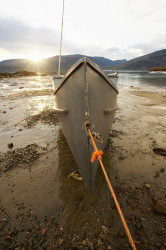 Ebbe