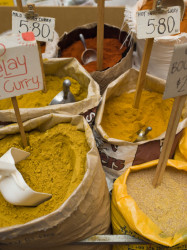 Curry
