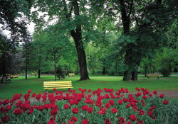 Park
