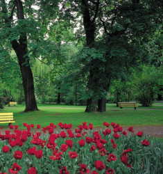 Park
