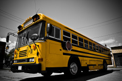 Bus