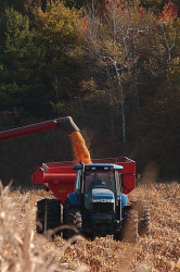 Traktor