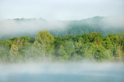 Nebel